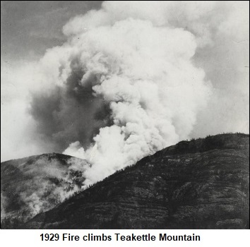 1929 Forest Fire